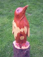 Penguin yew front.JPG